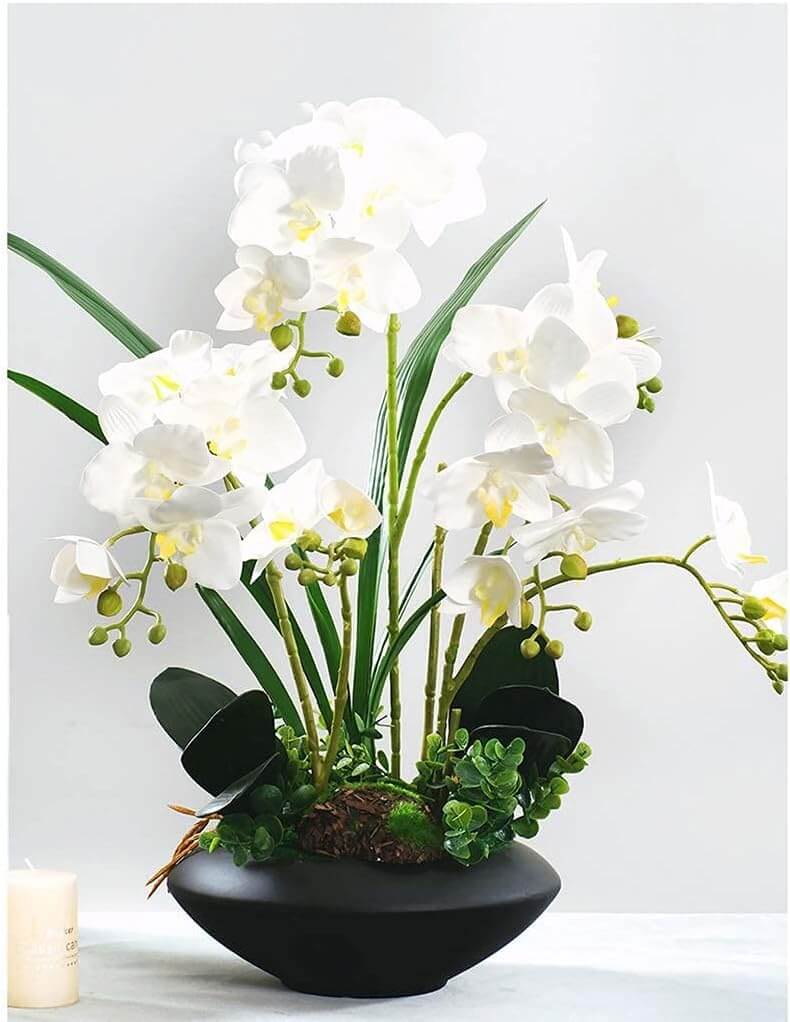black and white party orchid centerpiece